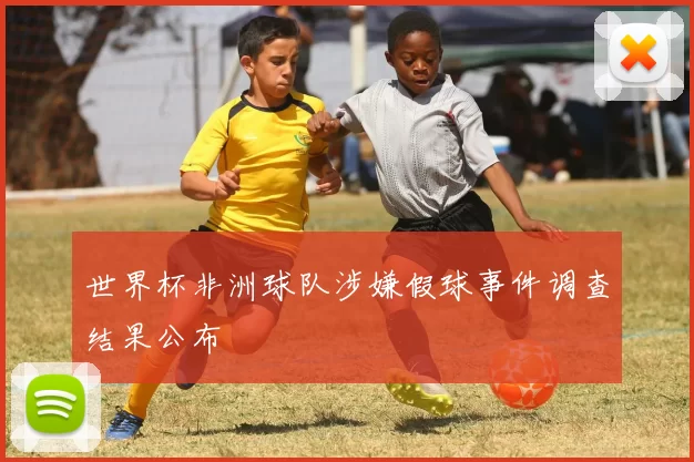 世界杯非洲球队涉嫌假球事件调查结果公布